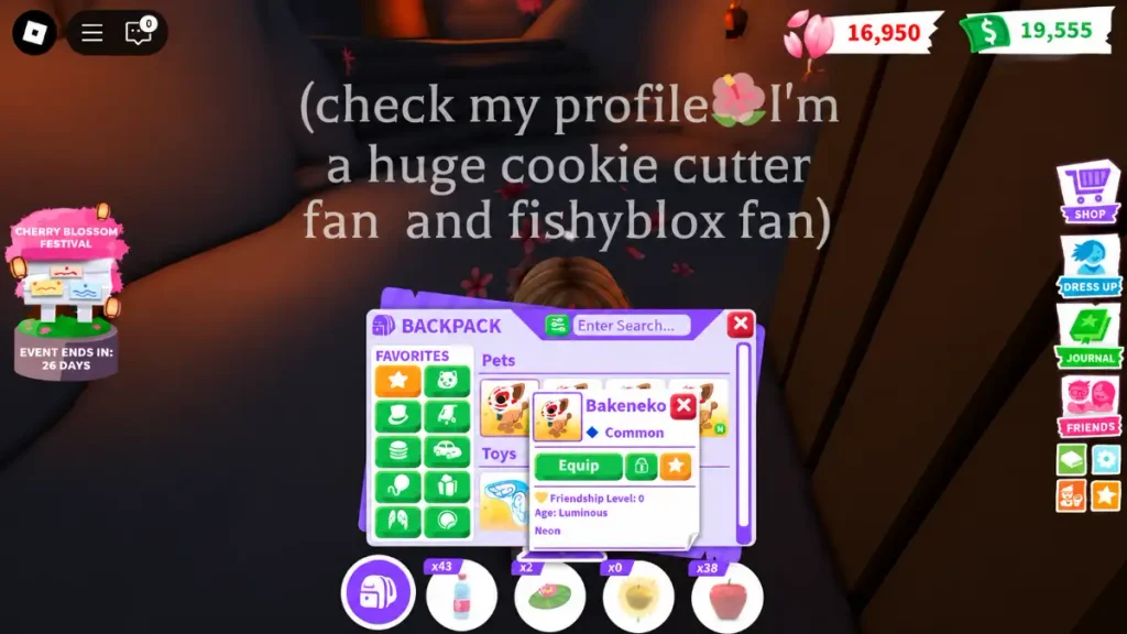 Adopt Me Equip pet